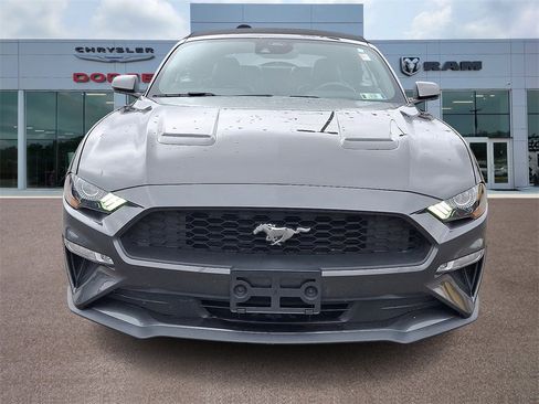 Used 2019 Ford Mustang Premium w/ Equipment Group 201A image 2