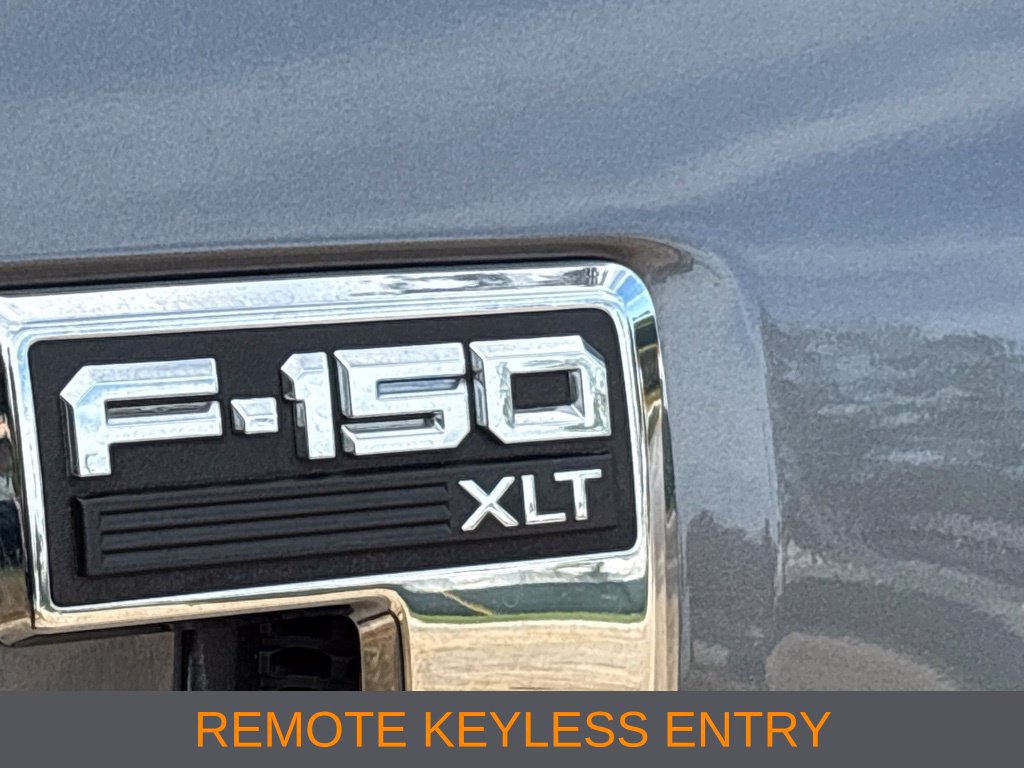 Used 2025 Ford F150 XLT w/ Equipment Group 301A Standard RWD image 6