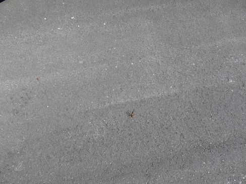 Used 2021 Chevrolet Spark LS image 13