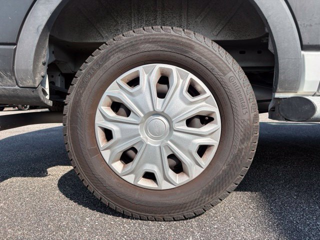 Used 2025 Ford Transit 250 Low Roof w/ Exterior Upgrade Package RWD image 19