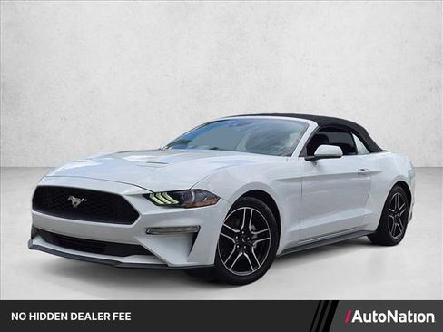 Used 2023 Ford Mustang Premium RWD image 1