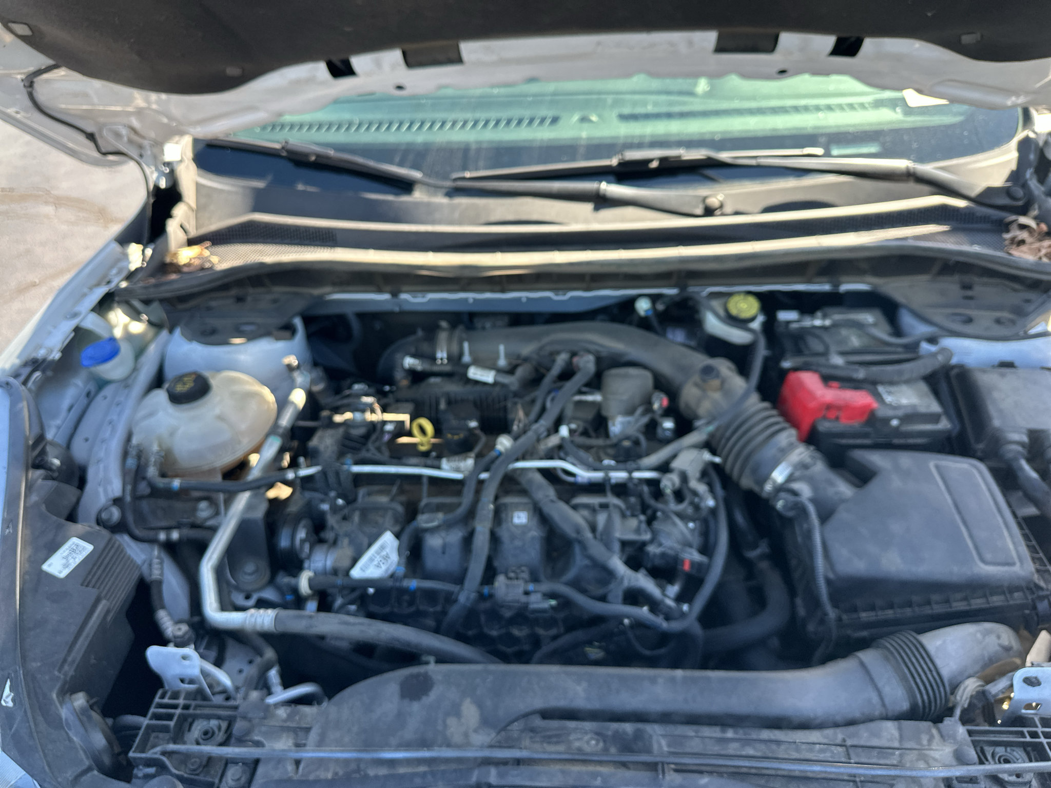 Used 2022 Ford Escape SEL AWD/4WD image 19