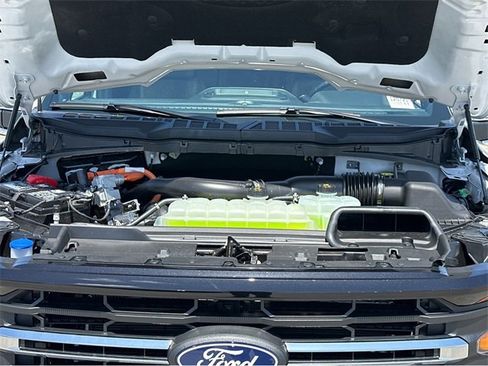 New 2025 Ford F150 XLT w/ Equipment Group 302A MID image 41