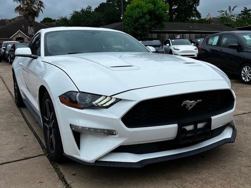 Used 2019 Ford Mustang Coupe w/ Equipment Group 101A RWD image 3