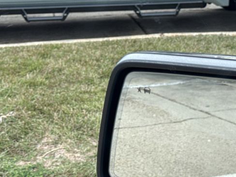 Used 2021 GMC Sierra 1500 AT4 w/ AT4 Value Package image 19