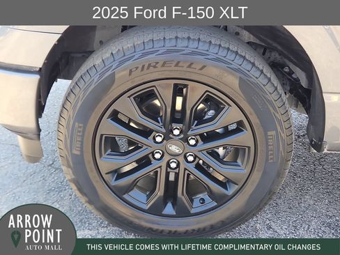 Used 2025 Ford F150 XLT w/ Equipment Group 302A MID AWD/4WD image 16
