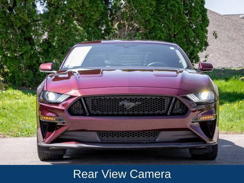 Used 2018 Ford Mustang GT w/ Equipment Group 301A RWD image 2