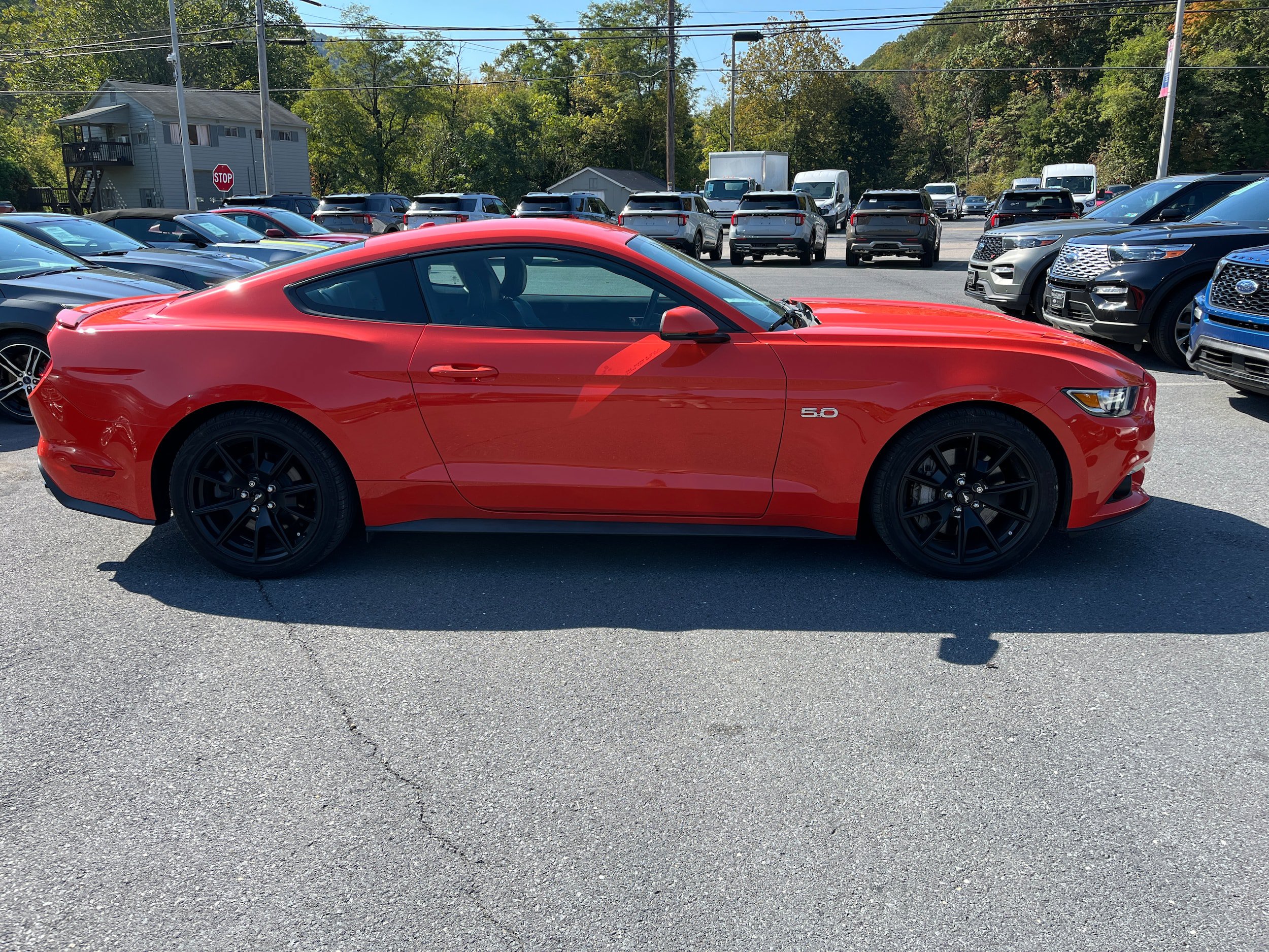 Used 2015 Ford Mustang GT Premium w/ Equipment Group 401A RWD image 5