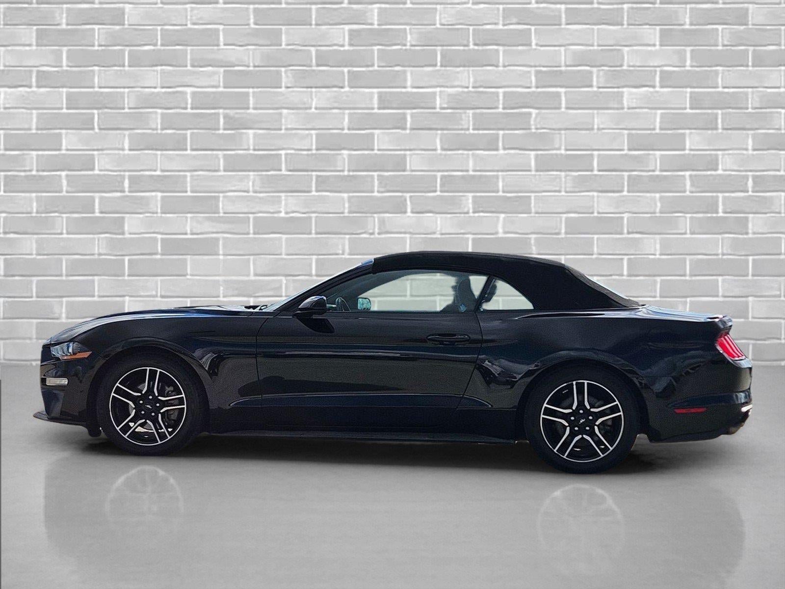 Used 2023 Ford Mustang Premium RWD image 8