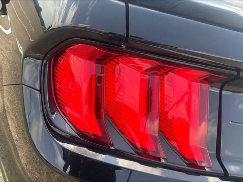 Used 2023 Ford Mustang GT Premium w/ Mustang Nite Pony Package RWD image 29