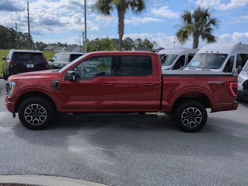 Used 2023 Ford F150 XLT w/ Equipment Group 302A High AWD/4WD image 7