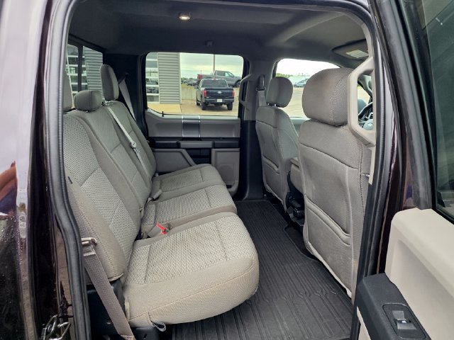 Used 2020 Ford F150 XLT w/ Equipment Group 302A Luxury AWD/4WD image 9