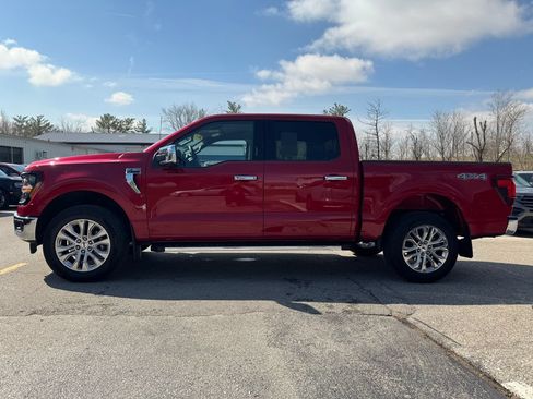 Used 2024 Ford F150 XLT w/ Equipment Group 303A High AWD/4WD image 8