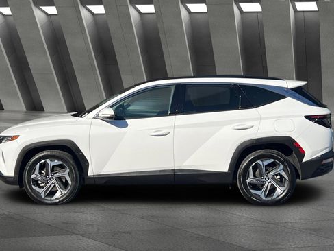 Used 2024 Hyundai Tucson Limited image 7