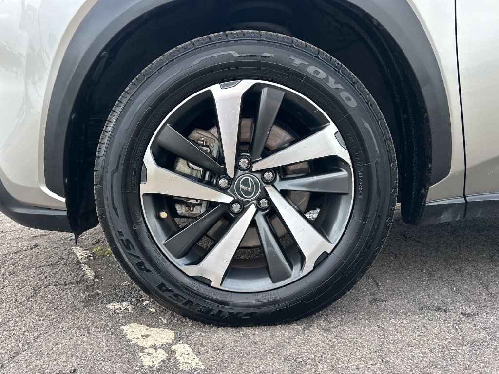 Used 2021 Lexus NX 300h AWD w/ Luxury Package image 11