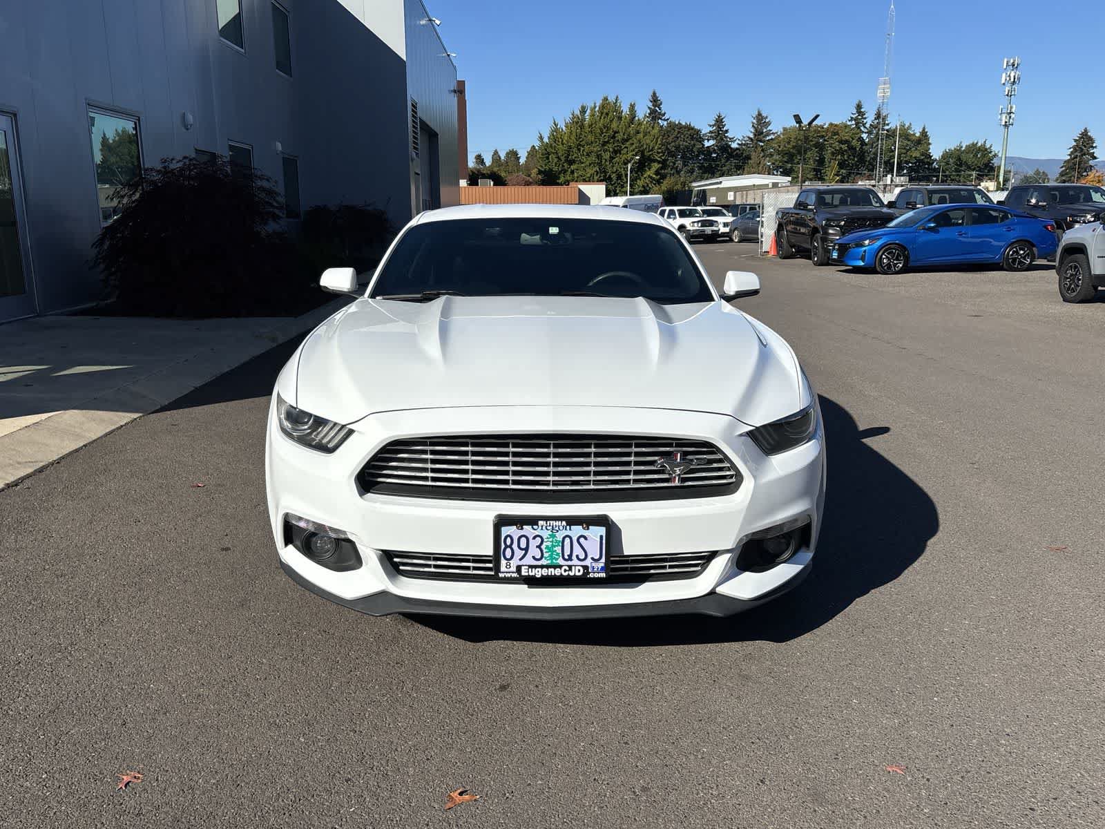 Used 2016 Ford Mustang Premium w/ Equipment Group 201A RWD image 8