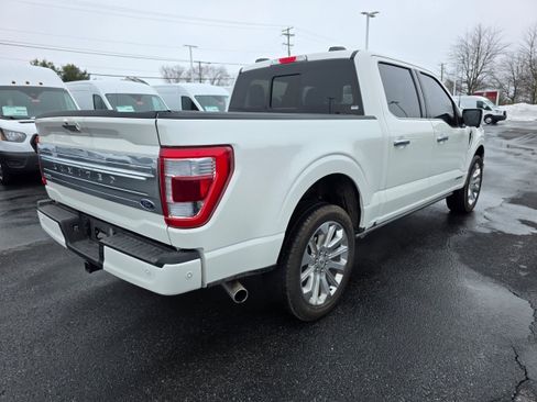 Certified 2023 Ford F150 Limited image 5