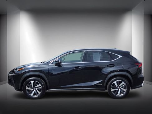 Used 2019 Lexus NX 300h AWD w/ Premium Package image 2