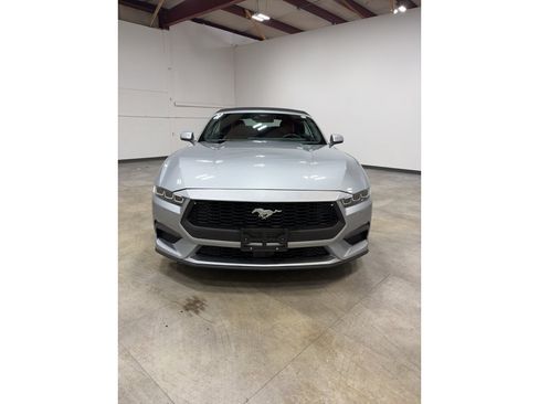 Used 2024 Ford Mustang Premium image 1
