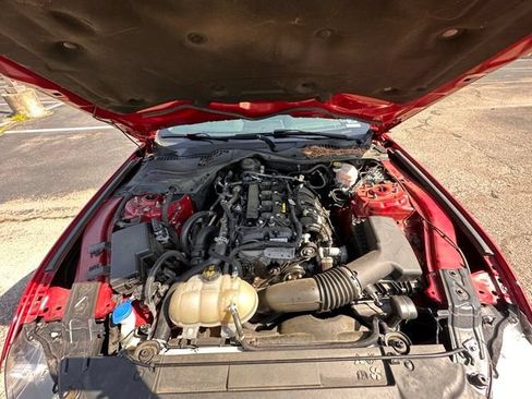 Used 2022 Ford Mustang Coupe w/ Equipment Group 101A RWD image 14