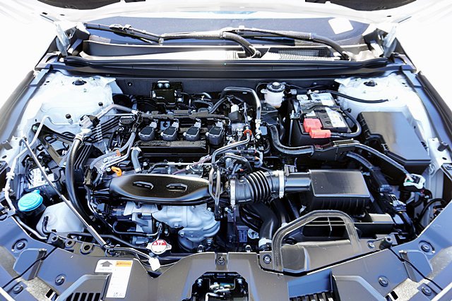Used 2024 Honda Accord EX image 14