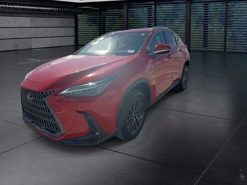 Certified 2024 Lexus NX 250 250 Premium image 4