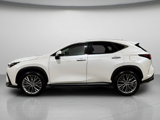 Certified 2024 Lexus NX 350h AWD w/ Vision Package image 6
