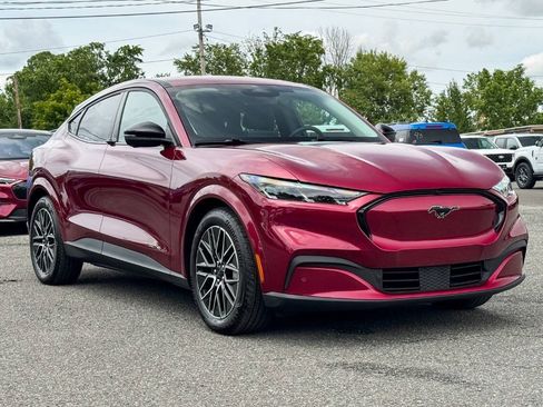 Used 2025 Ford Mustang Mach-E Premium AWD/4WD image 1