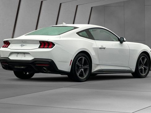 Used 2024 Ford Mustang Coupe image 4