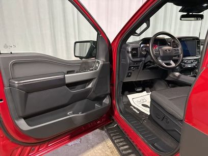 Used 2025 Ford F150 XLT w/ Equipment Group 302A MID