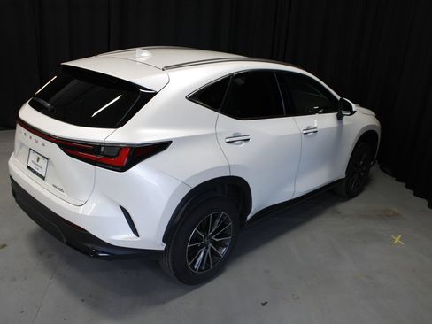 Used 2024 Lexus NX 250 250 Base w/ Cold Area Package image 14