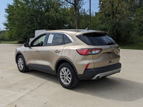 Used 2020 Ford Escape SE AWD/4WD image 5