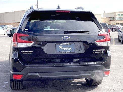 Used 2019 Subaru Forester Limited image 3