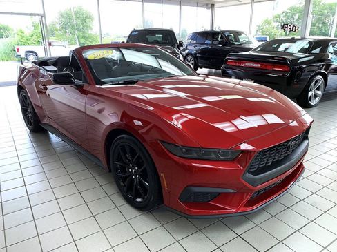 Used 2024 Ford Mustang Convertible w/ Mustang Nite Pony Package RWD image 4