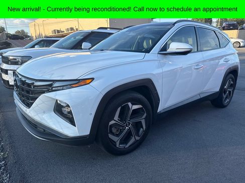 Used 2023 Hyundai Tucson Limited FWD image 1