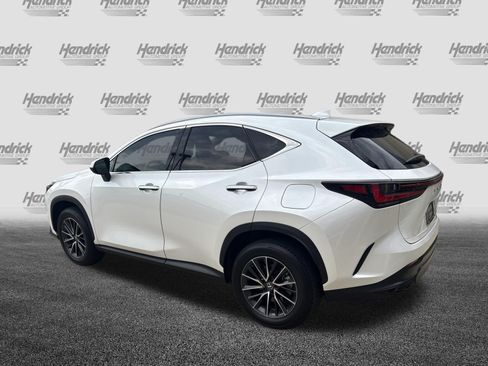 Used 2024 Lexus NX 350h AWD w/ Cold Area Package image 8