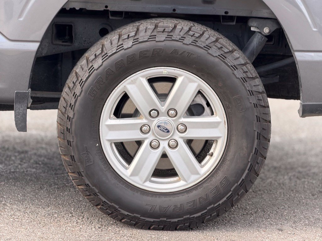 Used 2025 Ford F150 XL w/ Equipment Group 103A High AWD/4WD image 3