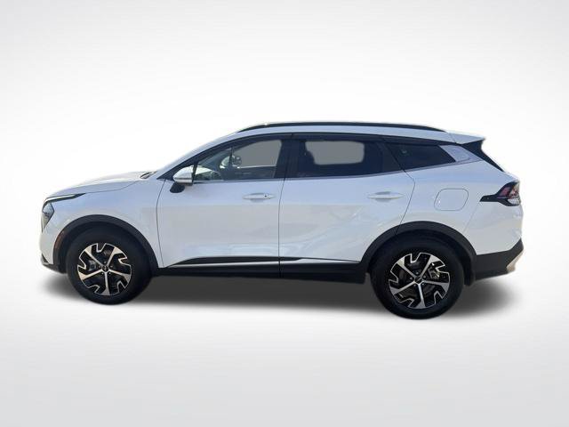 Used 2024 Kia Sportage EX w/ EX Premium Package AWD/4WD image 6