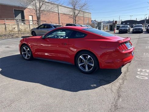 Used 2015 Ford Mustang Coupe w/ Equipment Group 051A image 6