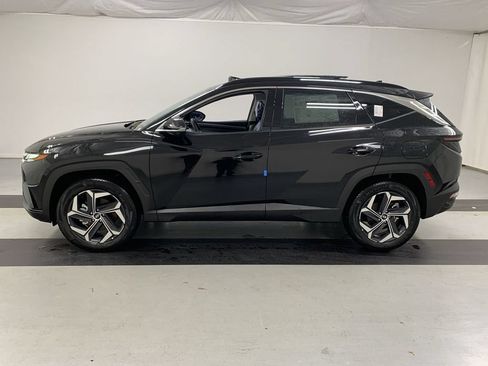Used 2024 Hyundai Tucson Limited AWD/4WD image 6
