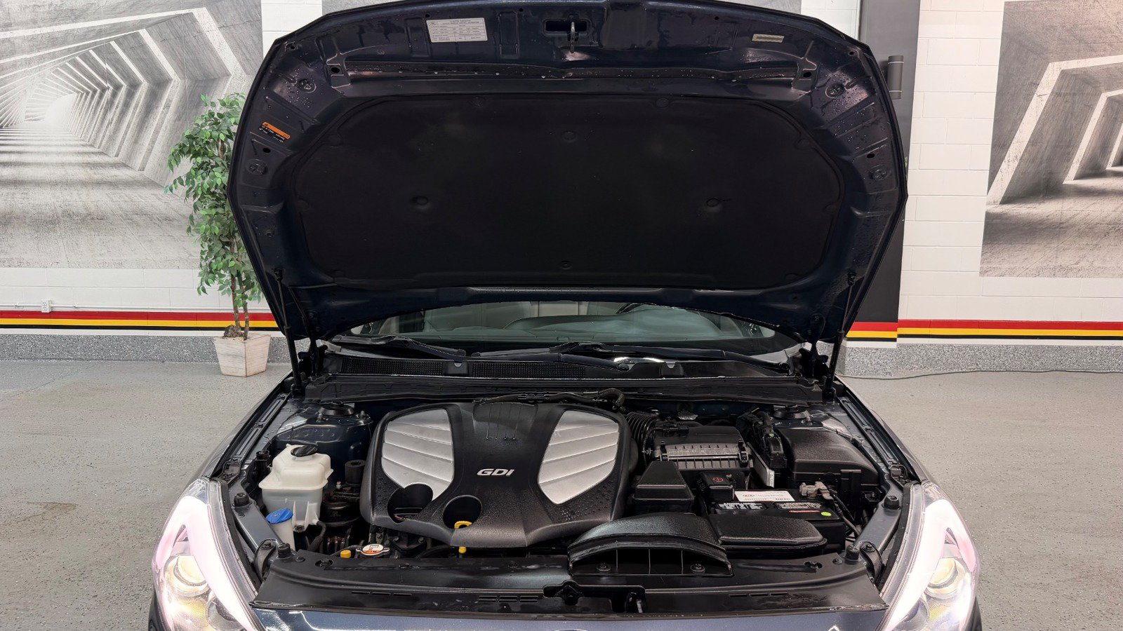 Used 2014 Kia Cadenza Limited FWD image 9