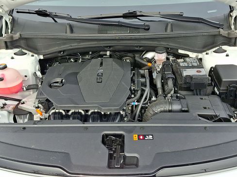 Certified 2024 Kia Sportage EX image 30