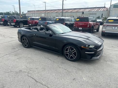 Used 2019 Ford Mustang Premium RWD image 1
