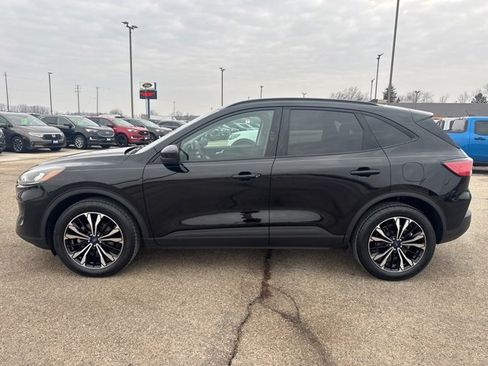 Used 2022 Ford Escape SEL w/ SEL Stealth AWD Package image 8