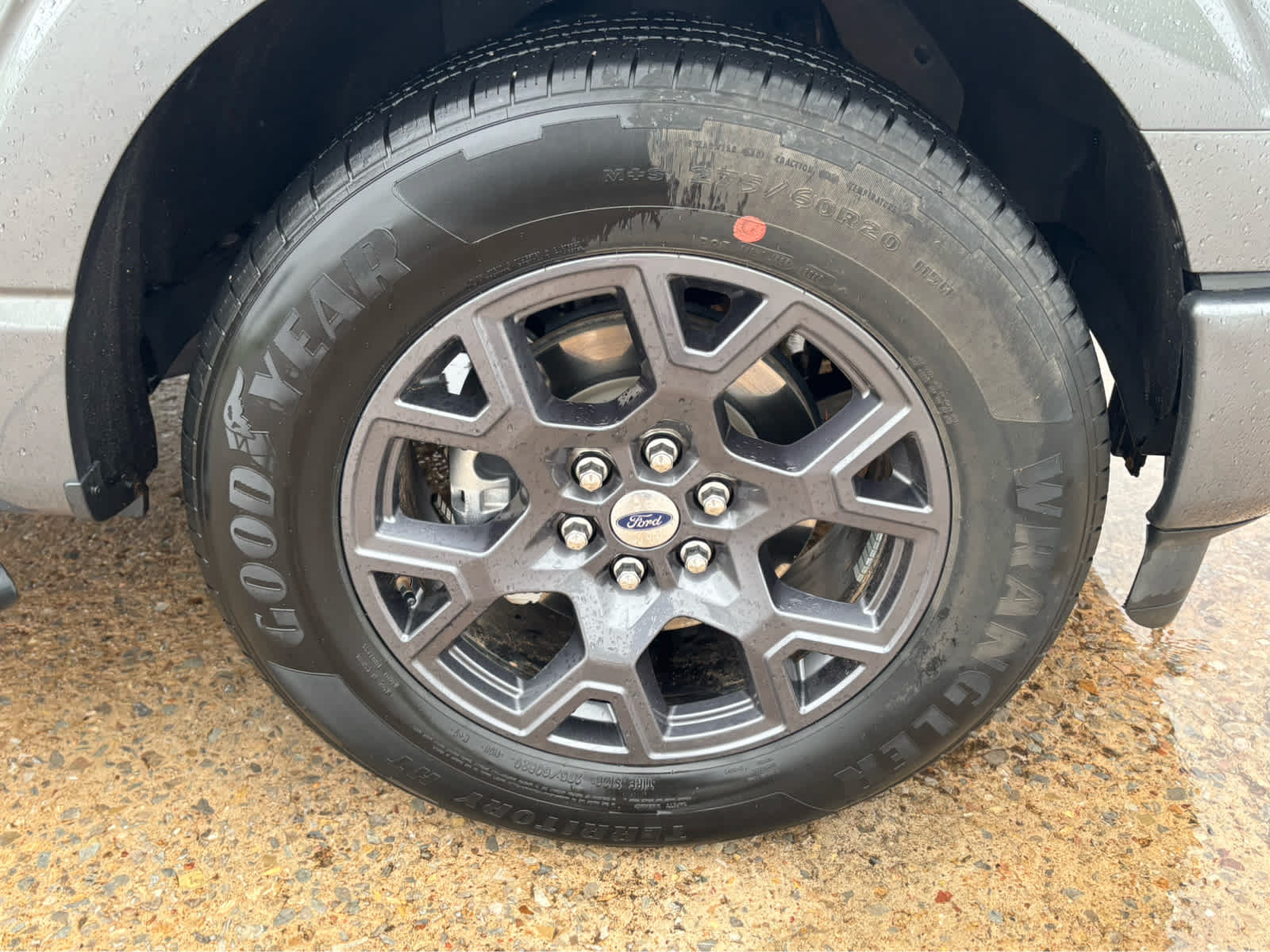 Used 2026 Ford F150 STX w/ Equipment Group 200A RWD image 9