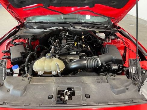 Used 2023 Ford Mustang Premium RWD image 9