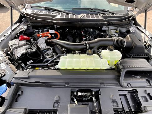 New 2025 Ford F150 XLT w/ Equipment Group 302A MID image 16