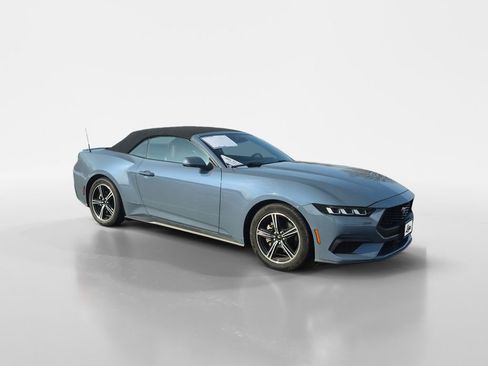 Used 2024 Ford Mustang Premium image 2