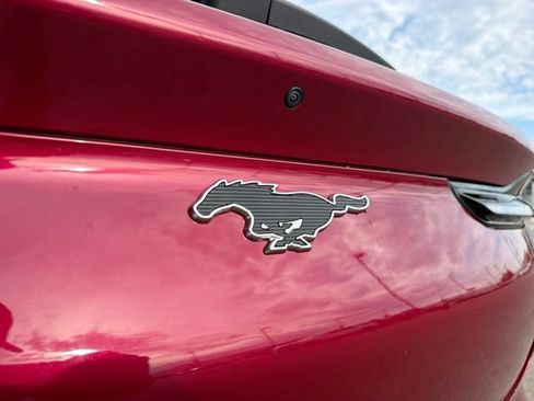 Used 2025 Ford Mustang Mach-E Premium AWD/4WD image 6