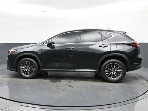Used 2023 Lexus NX 350 350 Premium image 5